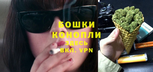 ГАЛЛЮЦИНОГЕННЫЕ ГРИБЫ Вязники