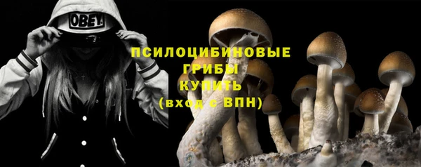 ГАЛЛЮЦИНОГЕННЫЕ ГРИБЫ Вязники
