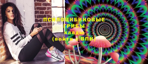 дмт Вязьма
