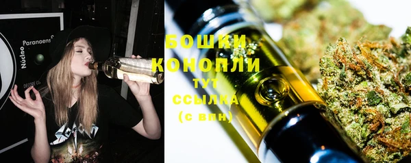 гидра Володарск